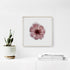 Pink Lace Rose Floral Art Print